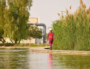 Employee restoring Water, Soil & Biodiversity in Qatar