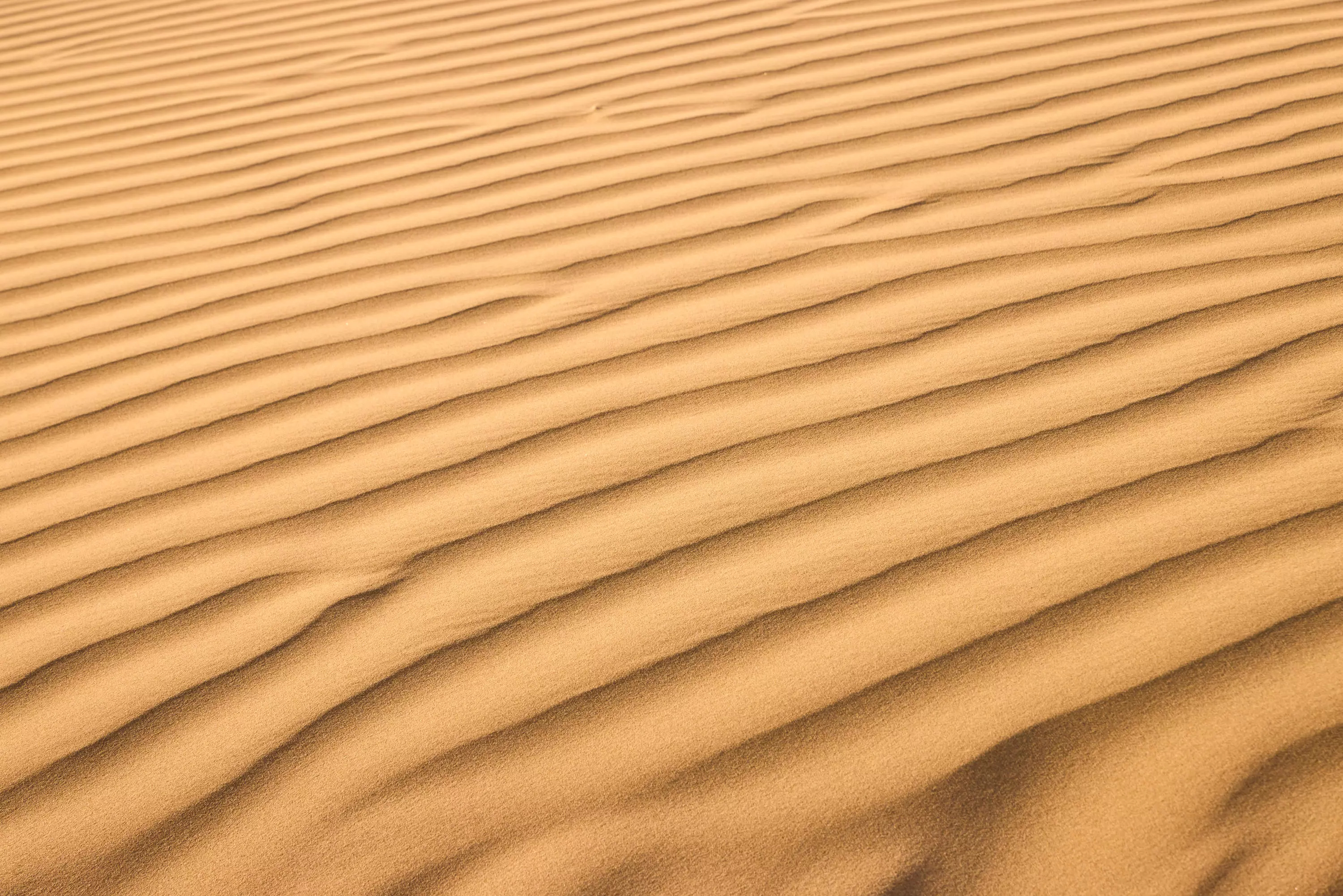 SAND